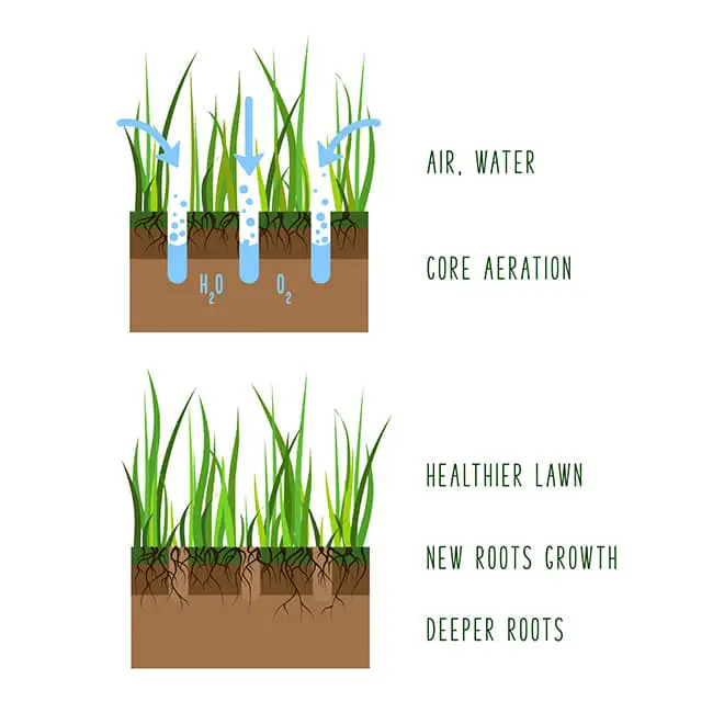 Chart used to emphasize the benefits of core aeration by ecoScapes Lawn Care Service