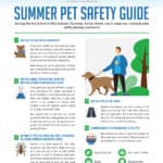 Summer Pet Safety Guide by EcoScapes