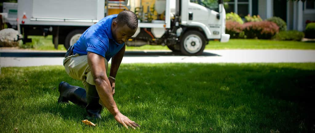 ecoScapes Lawn Care (402) 671-0453 | Omaha lawn care professionals