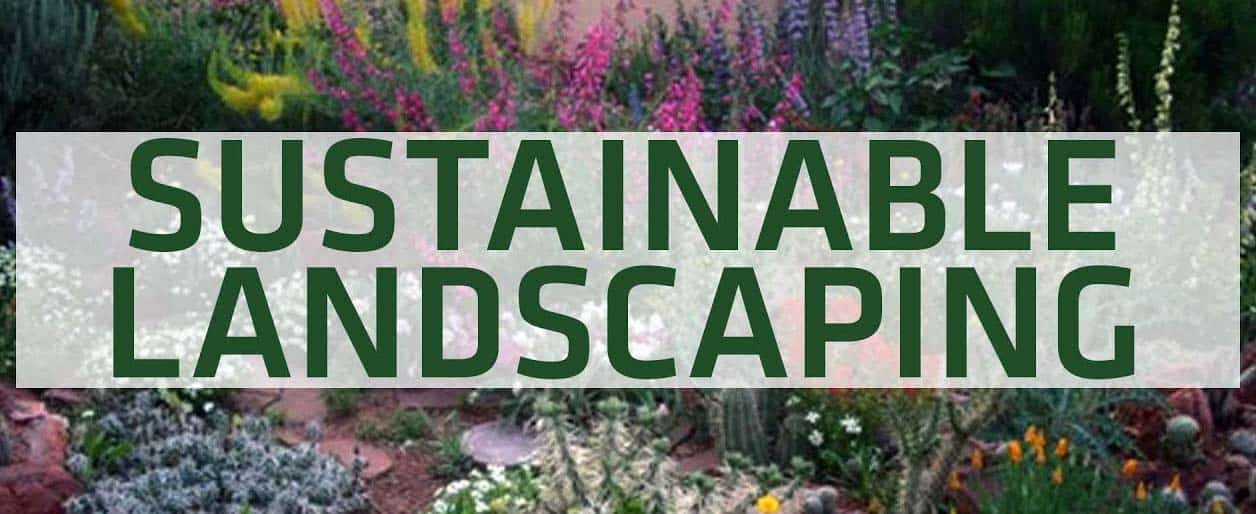 EcoScapes | The Advantages of Sustainable Landscaping | (402) 671-0453