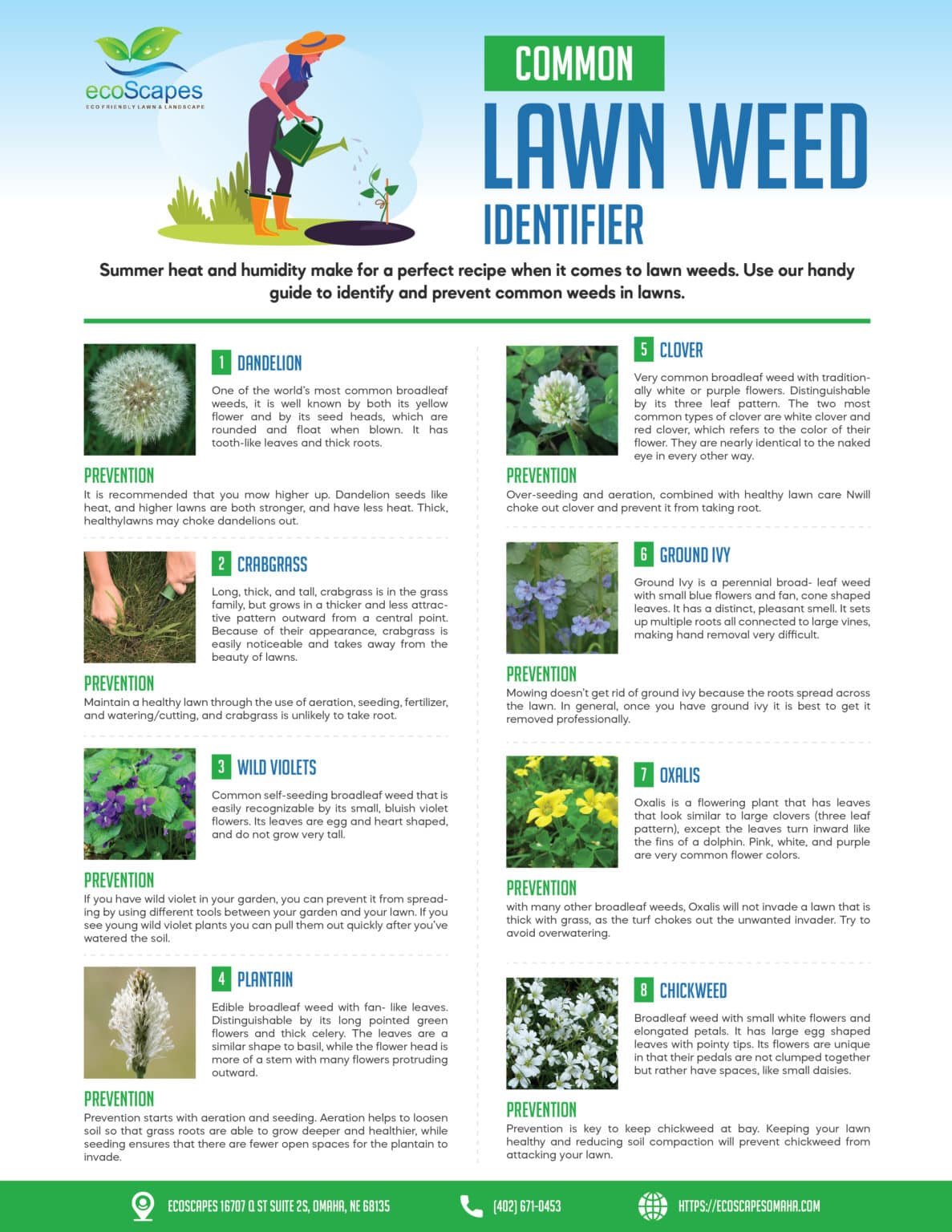 Nebraska Lawn Care Guides by EcoScapes - Download for Free!