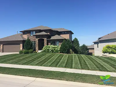 Lawn care provided by Omaha lawn care service - EcoScapes