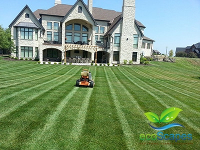 Omaha lawn care provided by EcoScapes, an Omaha Lawn Care Company.