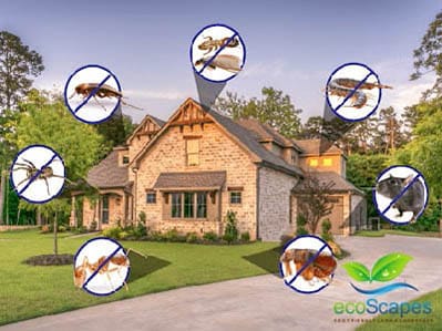 Perimeter Pest Control Service in Elkhorn NE by EcoScapes