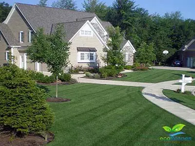 Elkhorn Lawn Care Services performed by EcoScapes