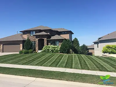 EcoScapes Lawn Care Services in Elkhorn NE
