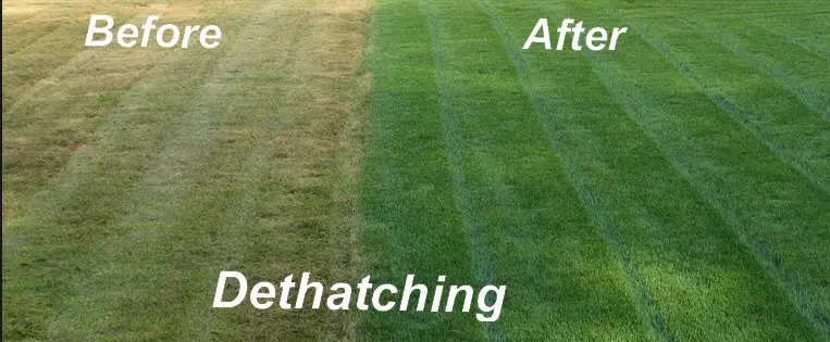 EcoScapes Lawn Dethatching in Omaha