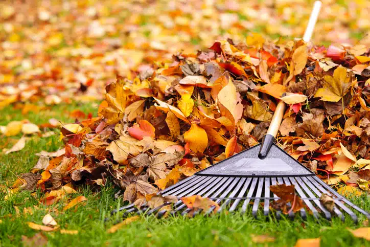 Fall Cleanup Service Omaha