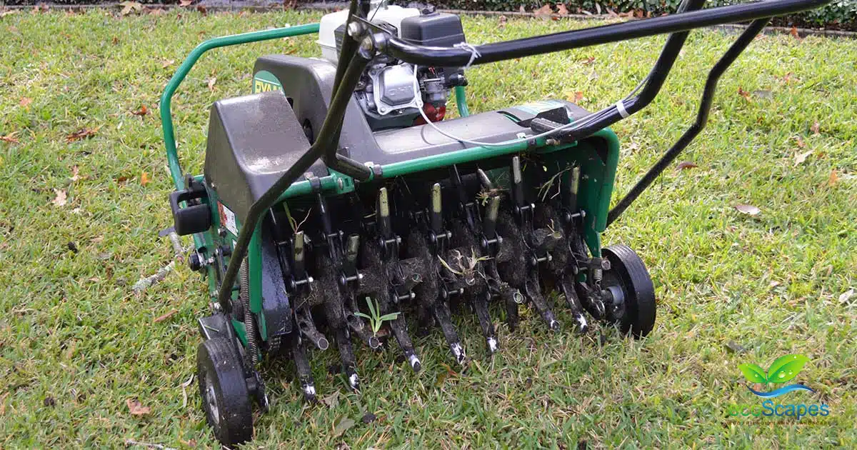 Lawn aeration near me by EcoScapes Lawn Care