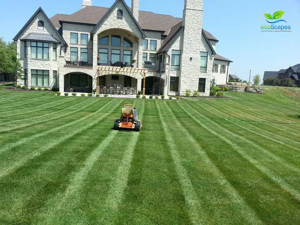 Lawn Mowing in Omaha, NE by EcoScapes Lawn Care