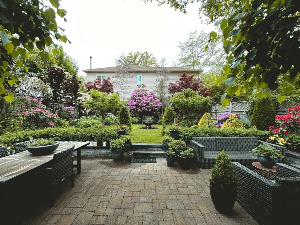 Backyard Landscape Rehab